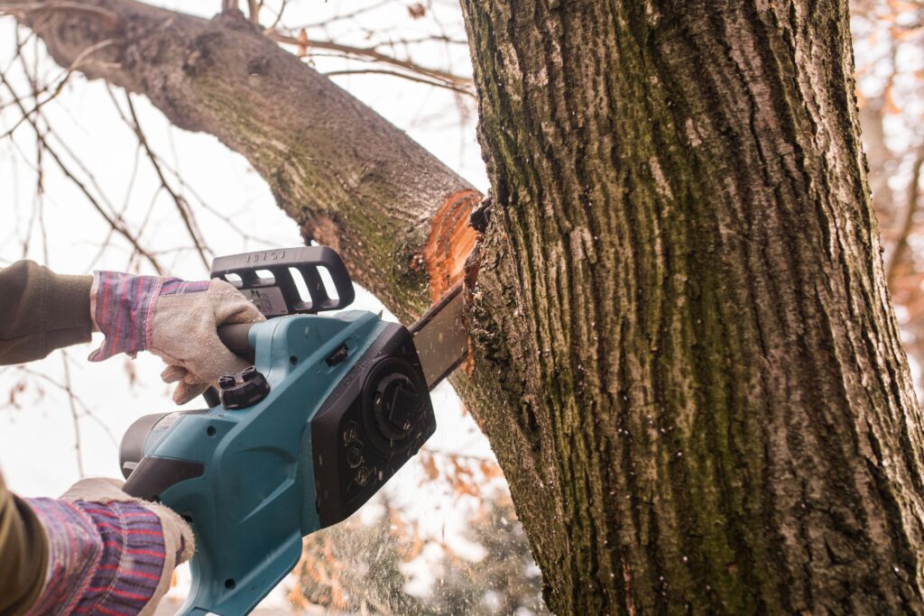trim trees over houses