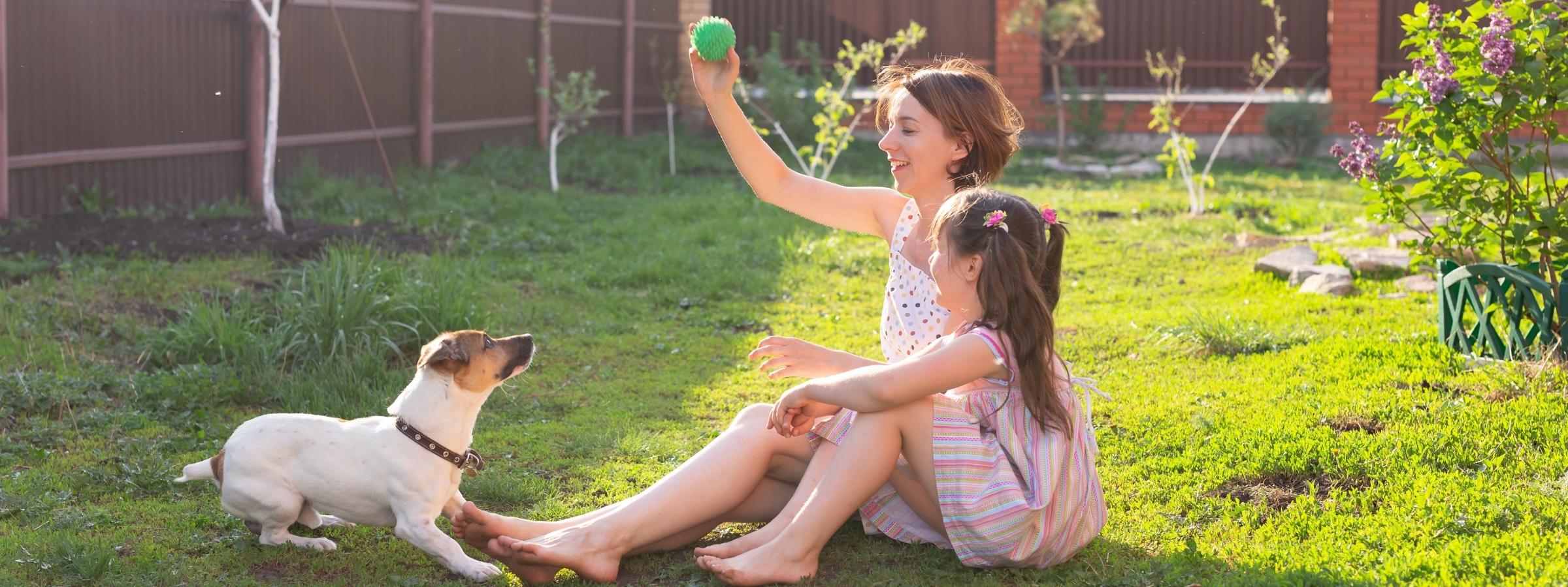 home insurance premium