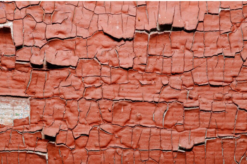 lead-paint inspection