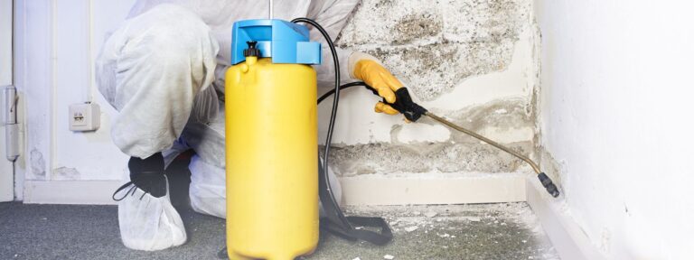 protecting your home from mold