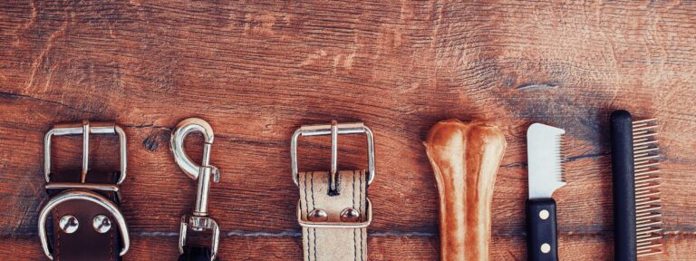 how to save money as a cat or dog owner