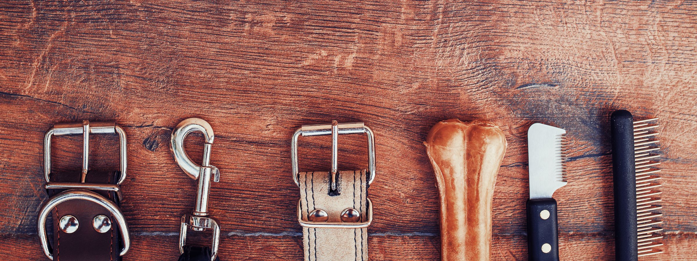 how to save money as a cat or dog owner