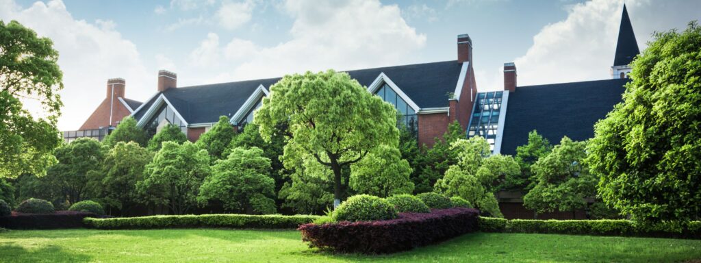 trees protecting windows