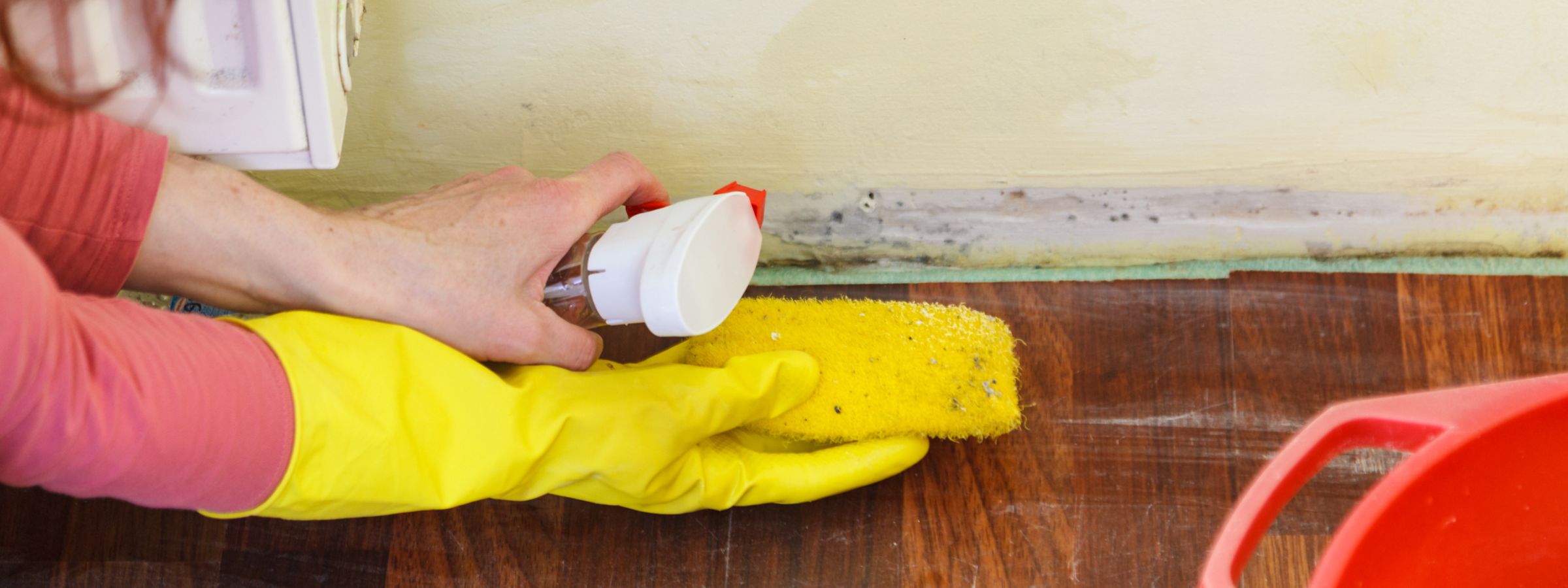 why is mold a problem